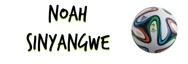 Noah's Website Logo